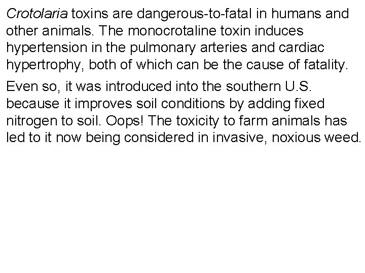 Crotolaria toxins are dangerous-to-fatal in humans and other animals. The monocrotaline toxin induces hypertension