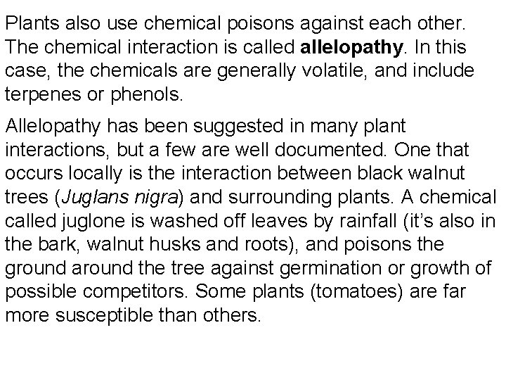 Plants also use chemical poisons against each other. The chemical interaction is called allelopathy.
