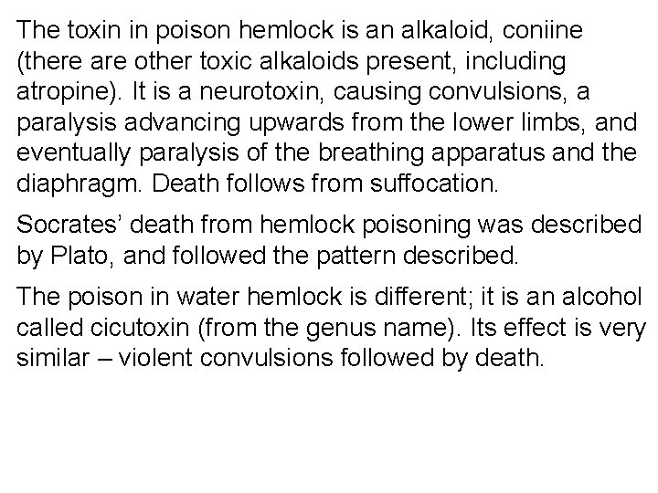 The toxin in poison hemlock is an alkaloid, coniine (there are other toxic alkaloids