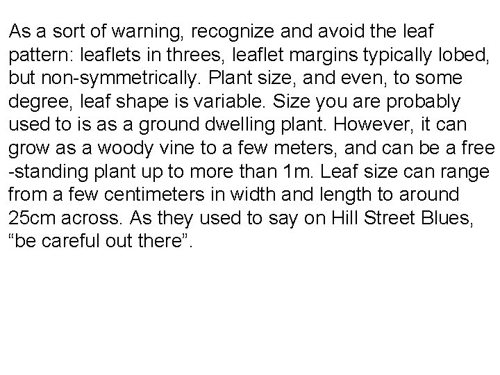 As a sort of warning, recognize and avoid the leaf pattern: leaflets in threes,