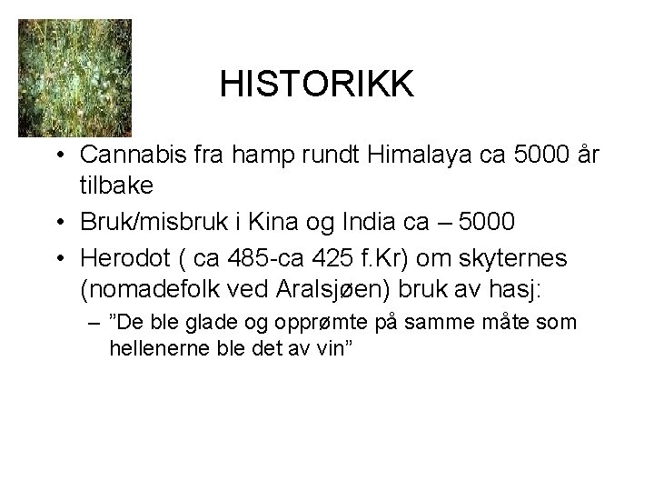 HISTORIKK • Cannabis fra hamp rundt Himalaya ca 5000 år tilbake • Bruk/misbruk i