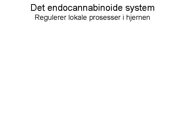 Det endocannabinoide system Regulerer lokale prosesser i hjernen 