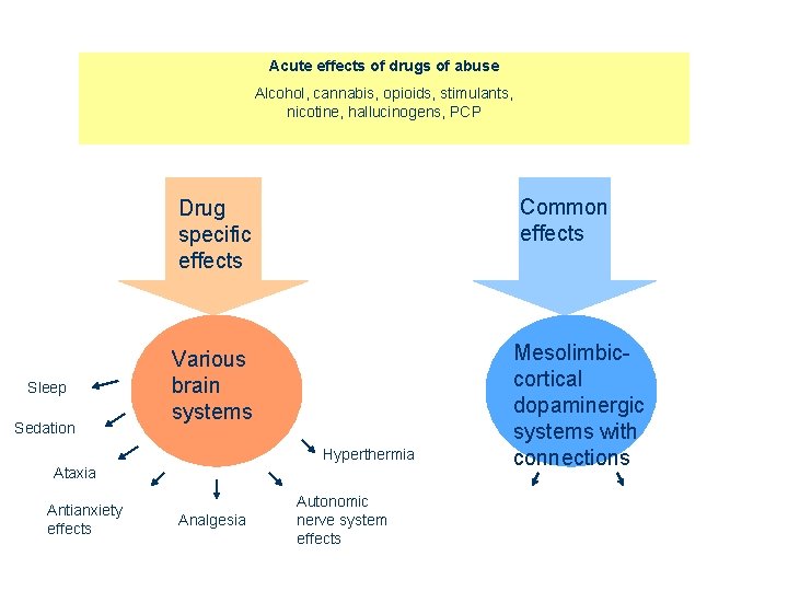 Acute effects of drugs of abuse Alcohol, cannabis, opioids, stimulants, nicotine, hallucinogens, PCP Sleep