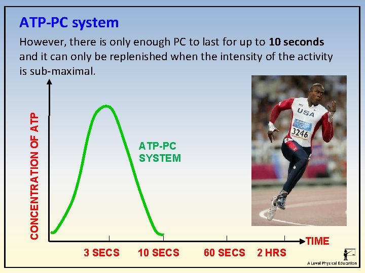 ATP-PC system CONCENTRATION OF ATP However, there is only enough PC to last for