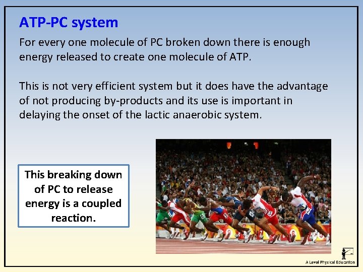 ATP-PC system For every one molecule of PC broken down there is enough energy