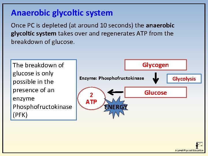 Anaerobic glycoltic system Once PC is depleted (at around 10 seconds) the anaerobic glycoltic