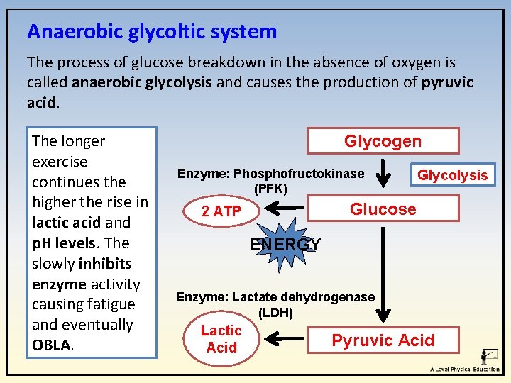 Anaerobic glycoltic system The process of glucose breakdown in the absence of oxygen is