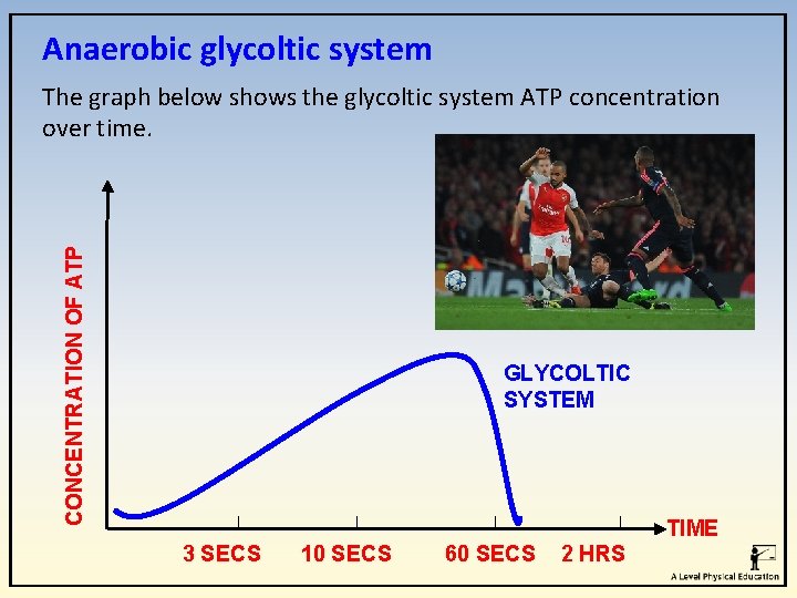 Anaerobic glycoltic system CONCENTRATION OF ATP The graph below shows the glycoltic system ATP