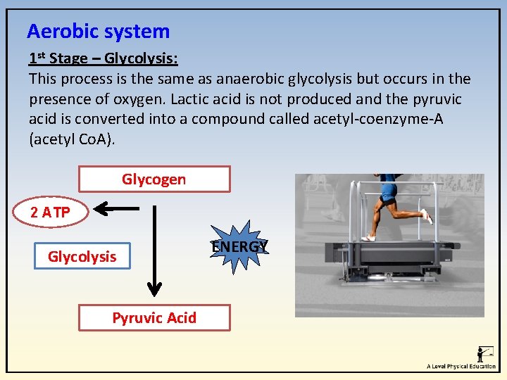 Aerobic system 1 st Stage – Glycolysis: This process is the same as anaerobic
