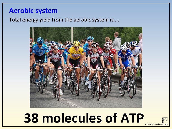 Aerobic system Total energy yield from the aerobic system is. . 38 molecules of