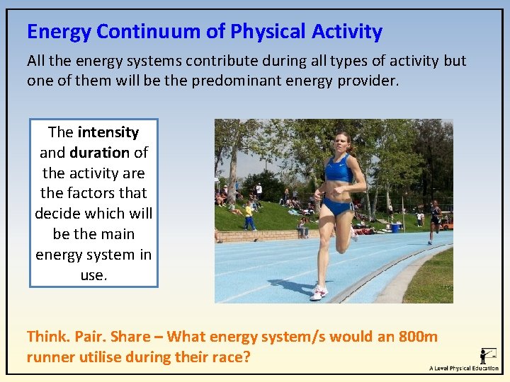Energy Continuum of Physical Activity All the energy systems contribute during all types of