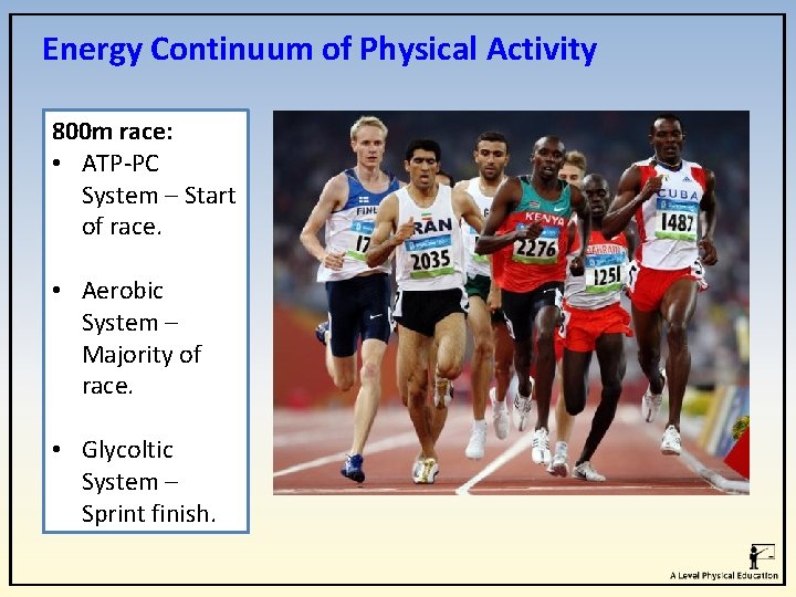 Energy Continuum of Physical Activity 800 m race: • ATP-PC System – Start of