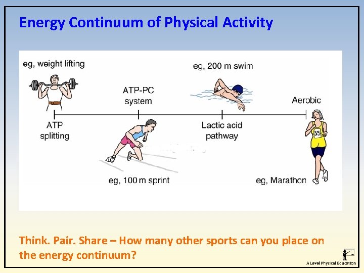 Energy Continuum of Physical Activity Think. Pair. Share – How many other sports can