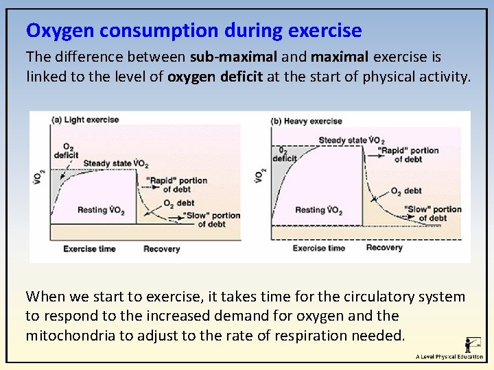 Oxygen consumption during exercise The difference between sub-maximal and maximal exercise is linked to