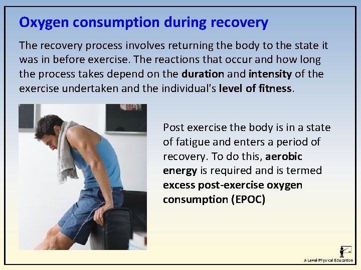 Oxygen consumption during recovery The recovery process involves returning the body to the state