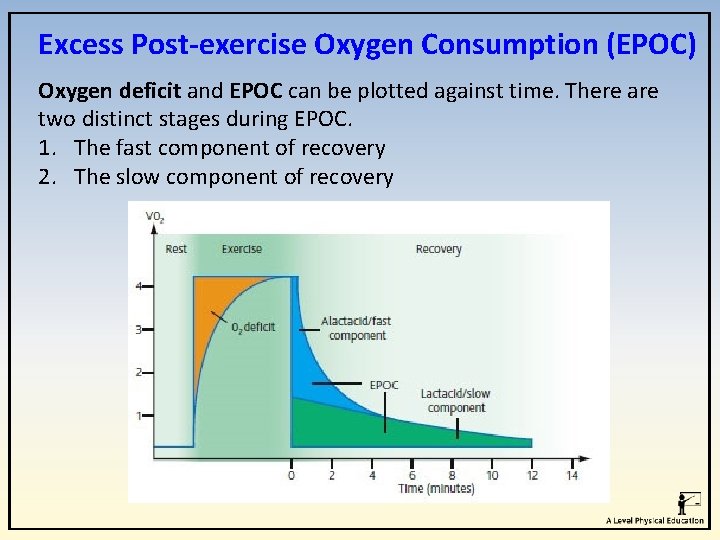 Excess Post-exercise Oxygen Consumption (EPOC) Oxygen deficit and EPOC can be plotted against time.