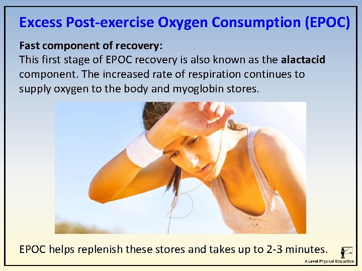 Excess Post-exercise Oxygen Consumption (EPOC) Fast component of recovery: This first stage of EPOC