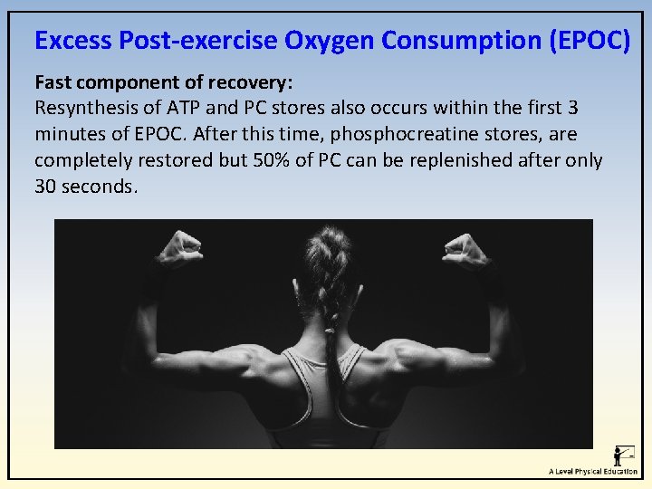 Excess Post-exercise Oxygen Consumption (EPOC) Fast component of recovery: Resynthesis of ATP and PC