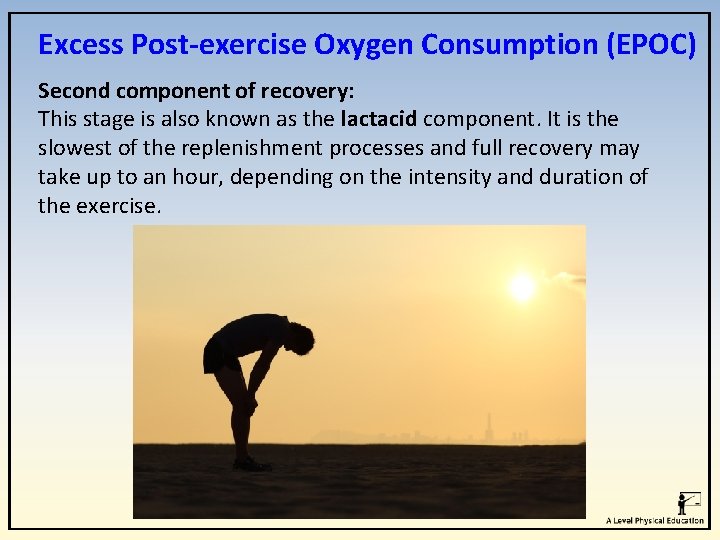 Excess Post-exercise Oxygen Consumption (EPOC) Second component of recovery: This stage is also known