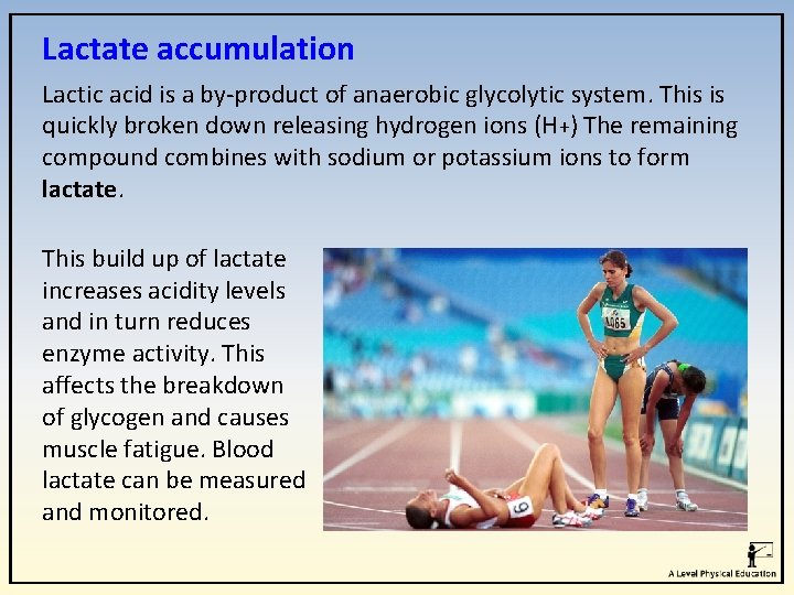 Lactate accumulation Lactic acid is a by-product of anaerobic glycolytic system. This is quickly