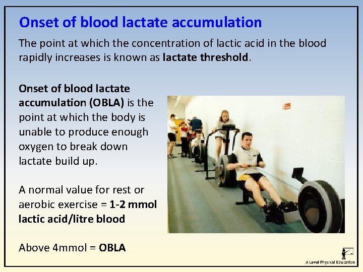 Onset of blood lactate accumulation The point at which the concentration of lactic acid