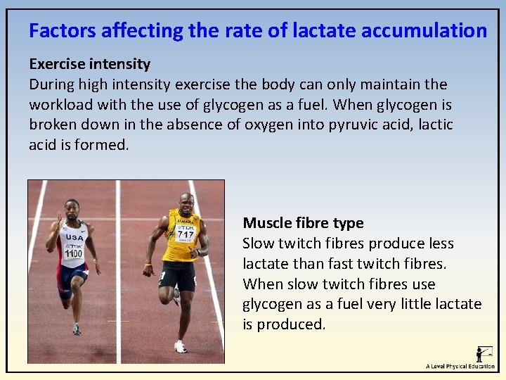 Factors affecting the rate of lactate accumulation Exercise intensity During high intensity exercise the