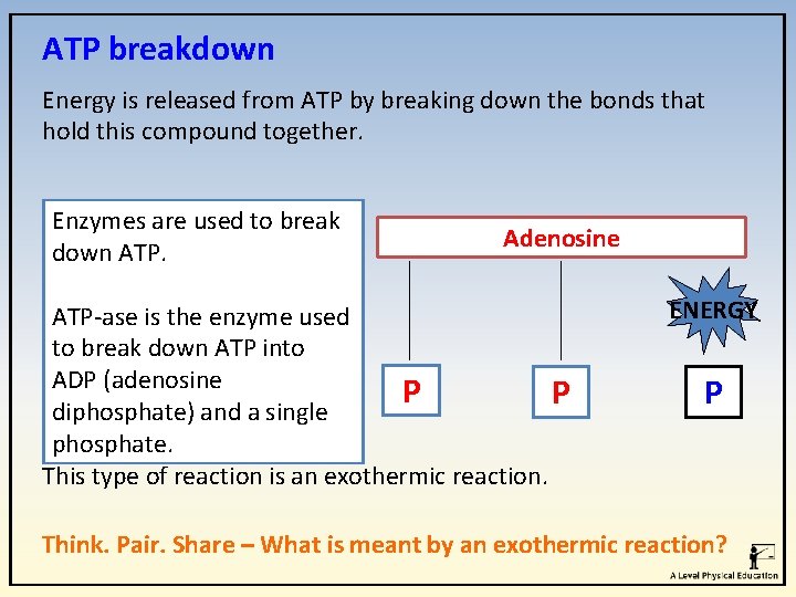 ATP breakdown Energy is released from ATP by breaking down the bonds that hold