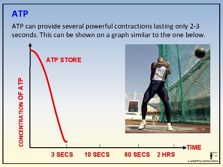 ATP can provide several powerful contractions lasting only 2 -3 seconds. This can be