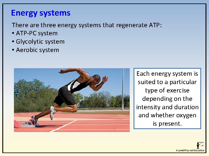 Energy systems There are three energy systems that regenerate ATP: • ATP-PC system •