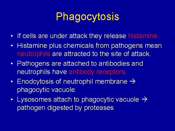 Phagocytosis • If cells are under attack they release histamine. • Histamine plus chemicals