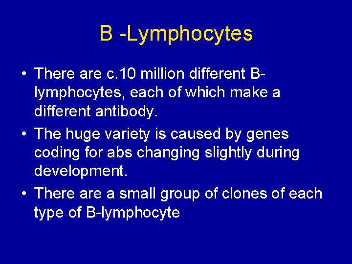 B -Lymphocytes • There are c. 10 million different Blymphocytes, each of which make
