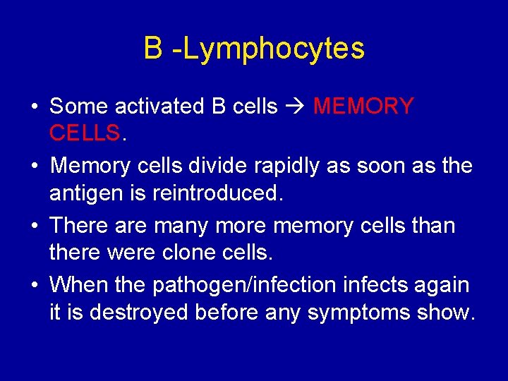 B -Lymphocytes • Some activated B cells MEMORY CELLS. • Memory cells divide rapidly