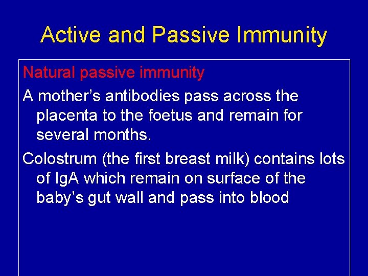 Active and Passive Immunity Natural passive immunity A mother’s antibodies pass across the placenta