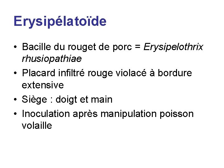 Erysipélatoïde • Bacille du rouget de porc = Erysipelothrix rhusiopathiae • Placard infiltré rouge