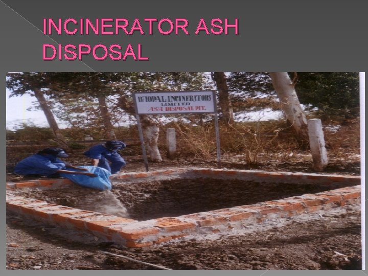 INCINERATOR ASH DISPOSAL 