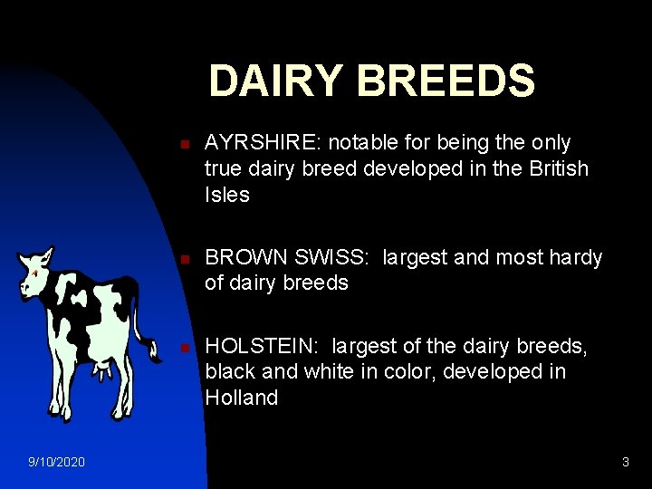 DAIRY BREEDS n n n 9/10/2020 AYRSHIRE: notable for being the only true dairy