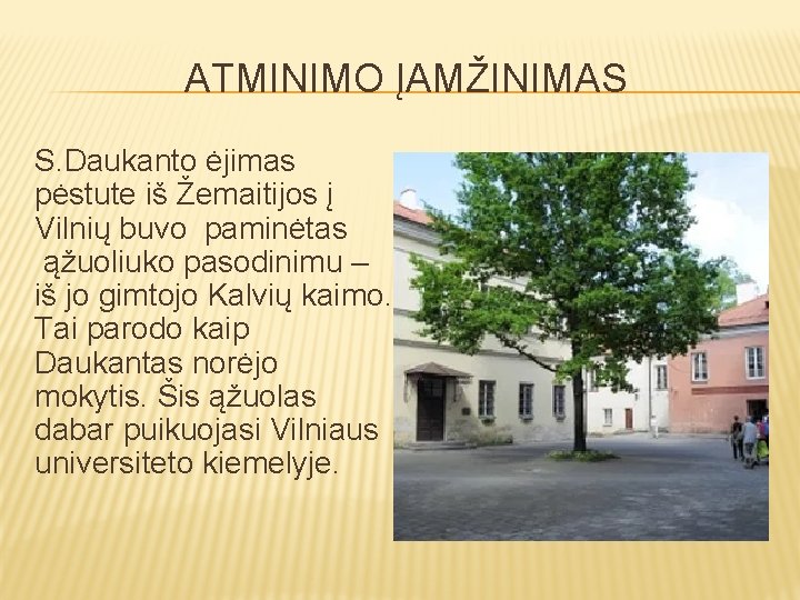 ATMINIMO ĮAMŽINIMAS S. Daukanto ėjimas pėstute iš Žemaitijos į Vilnių buvo paminėtas ąžuoliuko pasodinimu