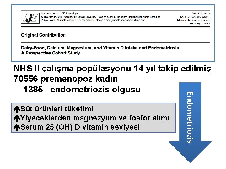  Süt ürünleri tüketimi Yiyeceklerden magnezyum ve fosfor alımı Serum 25 (OH) D vitamin