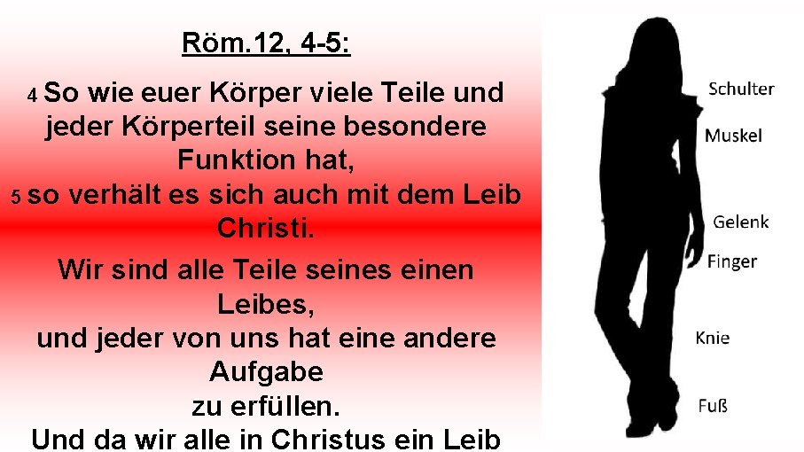 Röm. 12, 4 -5: 4 So wie euer Körper viele Teile und jeder Körperteil