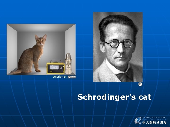 Anarkman Schrodinger's cat 