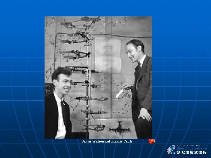  James Watson and Francis Crick 