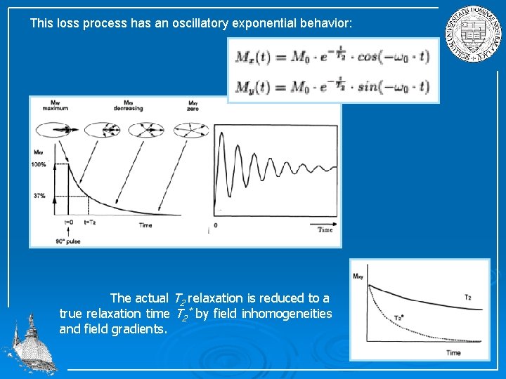 This loss process has an oscillatory exponential behavior: The actual T 2 relaxation is