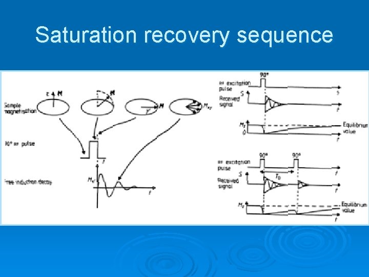 Saturation recovery sequence 