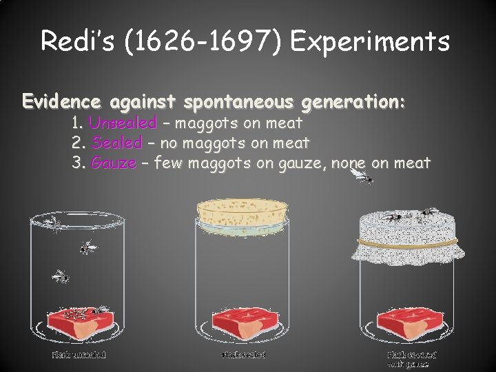 Redi’s (1626 -1697) Experiments Evidence against spontaneous generation: 1. Unsealed – maggots on meat