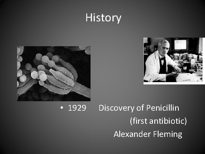 History • 1929 Discovery of Penicillin (first antibiotic) Alexander Fleming 