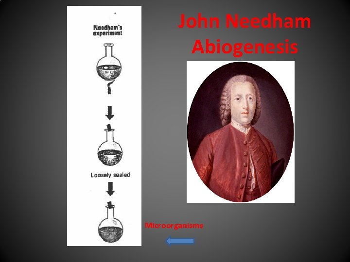 John Needham Abiogenesis Microorganisms 