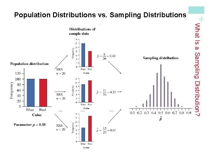 1) The population distribution gives the values of the variable for all the individuals 1) The population distribution gives the values of the variable for all the individuals