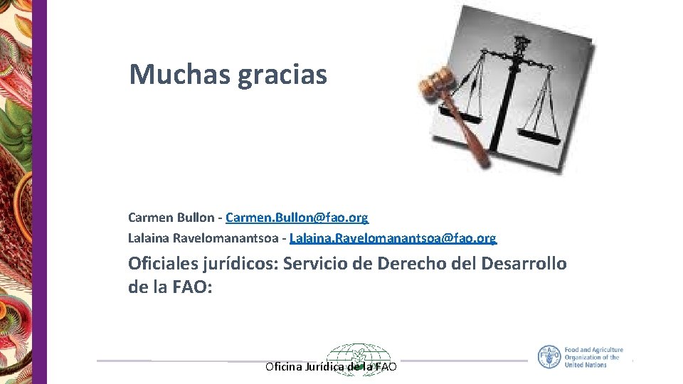 Muchas gracias Carmen Bullon - Carmen. Bullon@fao. org Lalaina Ravelomanantsoa - Lalaina. Ravelomanantsoa@fao. org