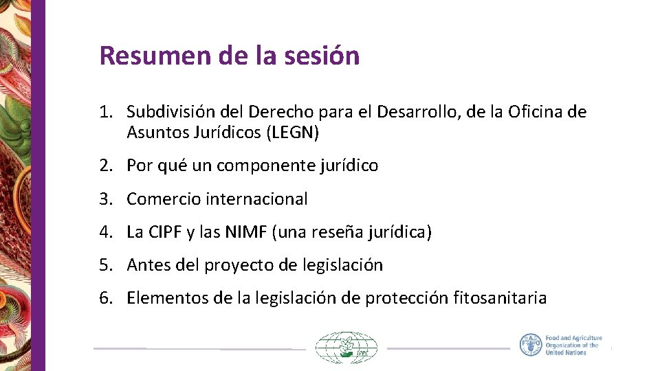 Resumen de la sesión 1. Subdivisión del Derecho para el Desarrollo, de la Oficina