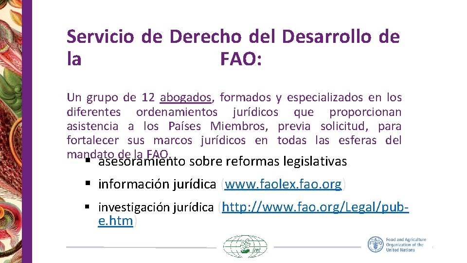 Servicio de Derecho del Desarrollo de la FAO: Un grupo de 12 abogados, formados